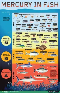 Infographic: How Much Mercury is in the Fish You Eat