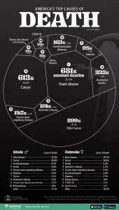 Infographic: The Top Causes of Death in the United States
