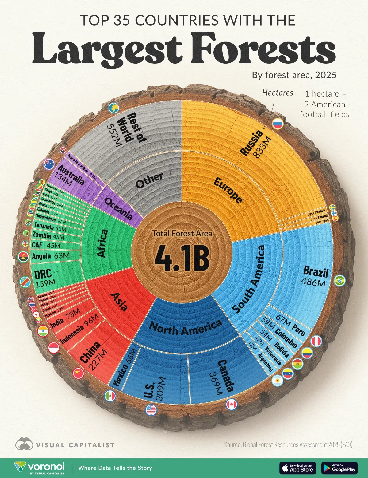 Infographic: Countries With the Largest Forests in 2025