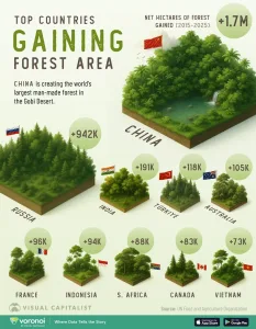 Infographic: The Countries That Gained the Most Forest (2015-2025)