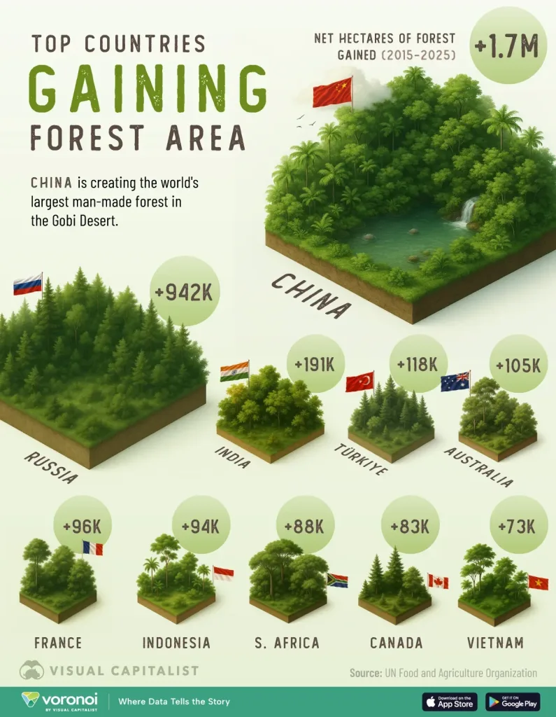 Infographic: The Countries That Gained the Most Forest (2015-2025)