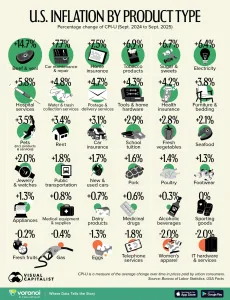 Infographic: U.S. Inflation by Category in 2025