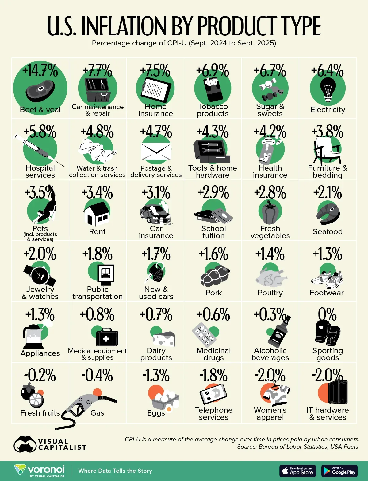 Infographic: U.S. Inflation by Category in 2025