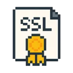 ssl icon