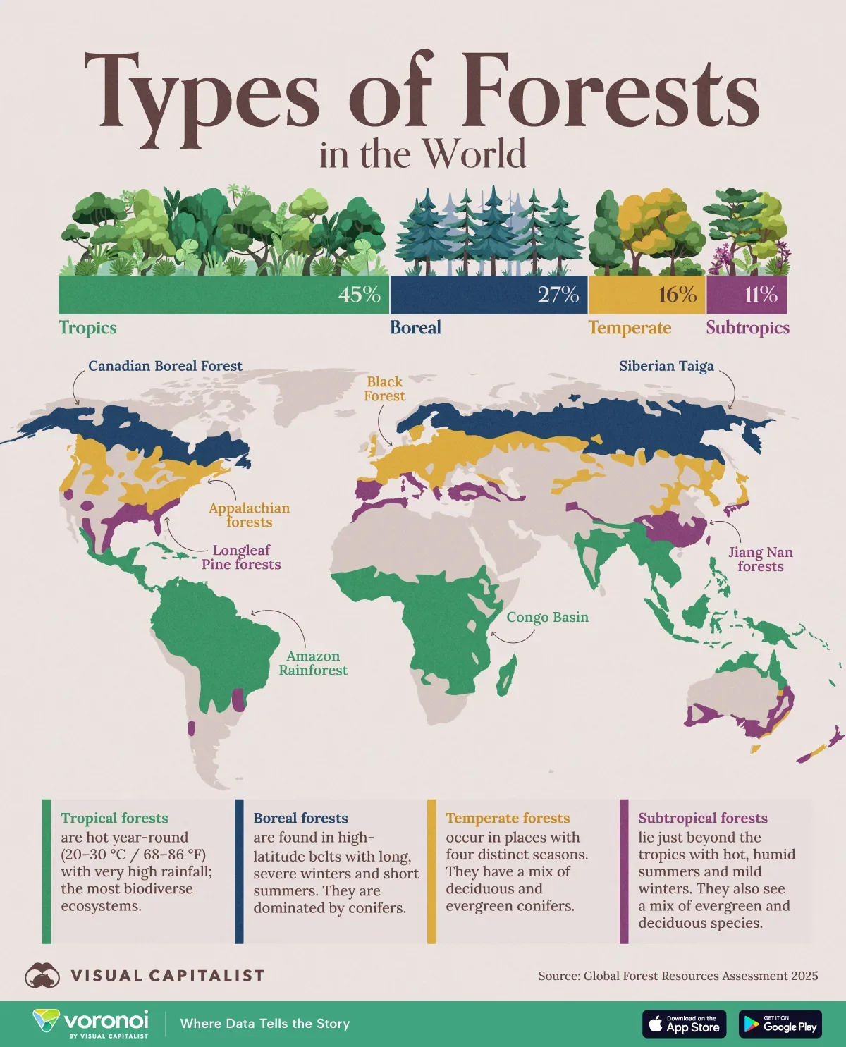 Infographic: The Four Major Types of Forests Around the World