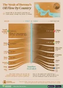 Infographic: Oil Trade Through the Strait of Hormuz by Country